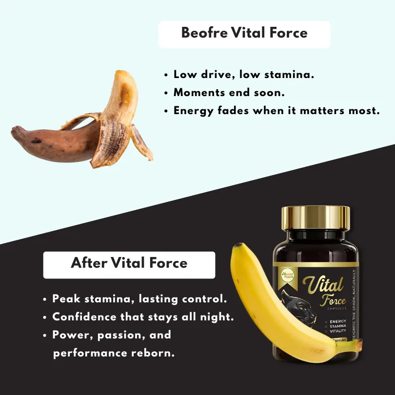 Vital Force - Image 5